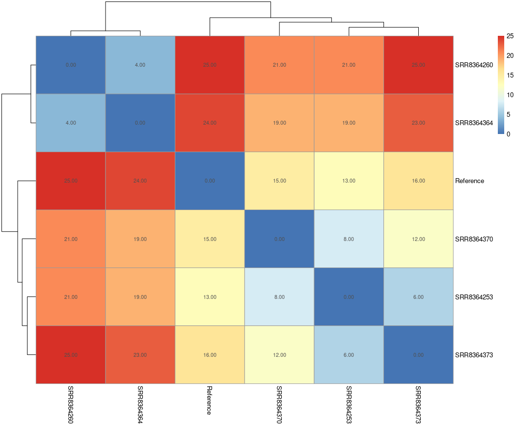 Heatmap showing that SRR8364260 and SRR8364364 are very closely related, as are SRR8364253 and SRR8364373