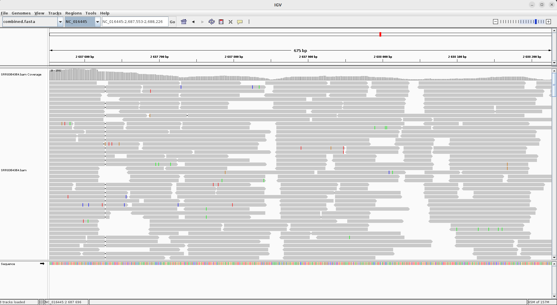 Reads aligned against a genome showing a gap indicating a one base pair deletion